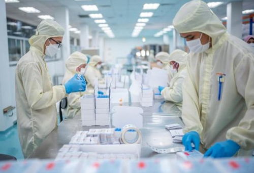 从芯片到生物医药 中美科技博弈的新前沿与生物技术研发的挑战