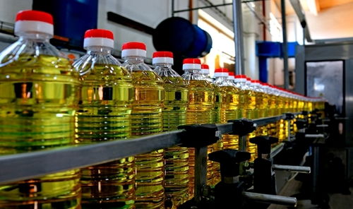 2021年11月食用油机械设备行业热点聚焦 创新驱动与市场新机遇