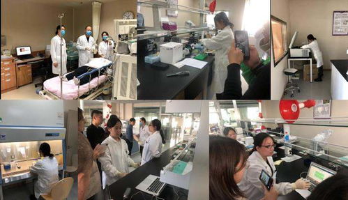 一手紧抓检测试剂，一手研发智能终端 源生康泰双管齐下的生物技术攻坚战